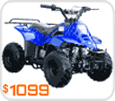 mini atv