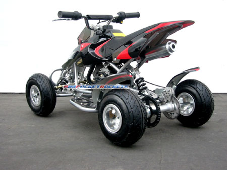 mini quads rear