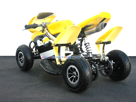 evolution quads