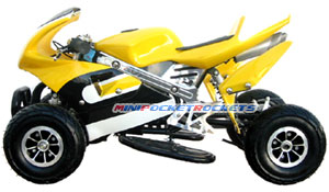 Evolution IV