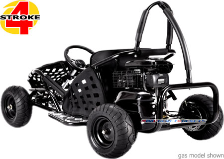 gas go kart rear