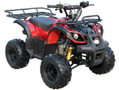 mini atv