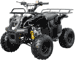 mini atv