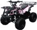 mini atv