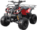 mini atv