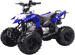 mini atvs