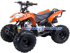 mini atvs
