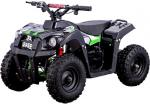 Evolution IV Mini Quad