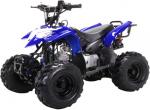 T-Rex 4-Stroke Mini ATV
